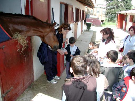 abc kindergarten Gerakas Agia Paraskevi Vrilissia